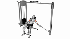 Cable Incline Inner Biceps Curl